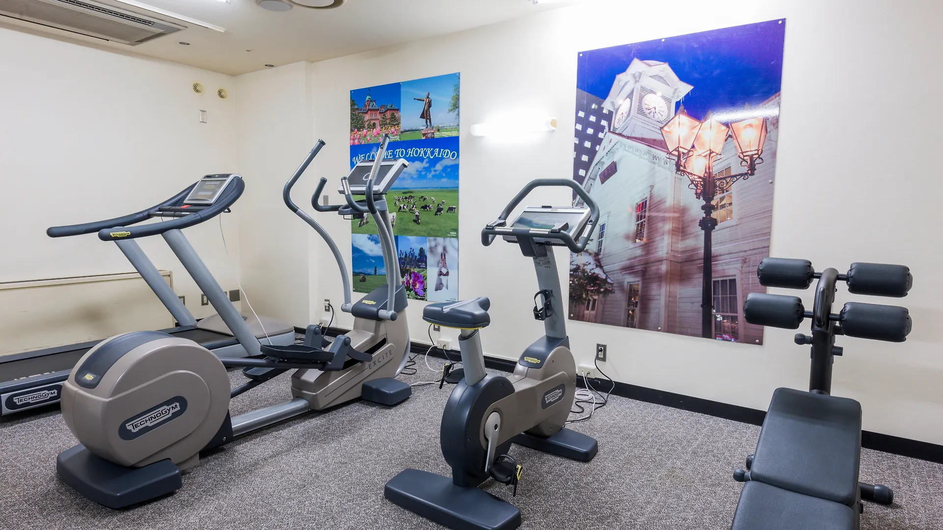Ana Holiday Inn Sapporo Susukino 3*,  اليابان